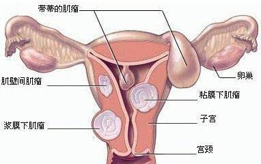 第367页