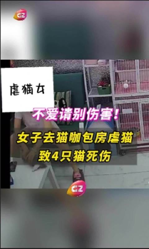 第362页