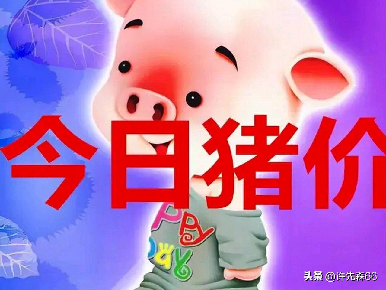 第351页